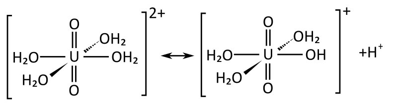 Hydrated uranyl and hydrolysed form